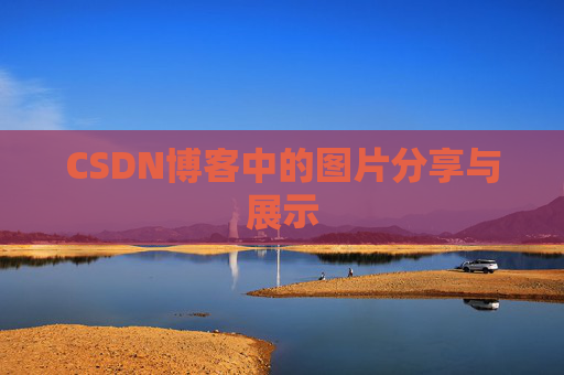 CSDN博客中的图片分享与展示